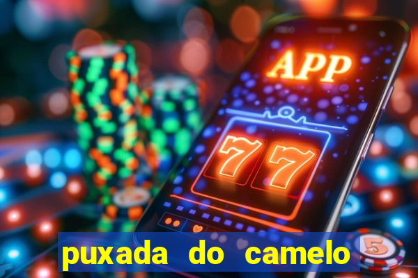 puxada do camelo no jogo do bicho